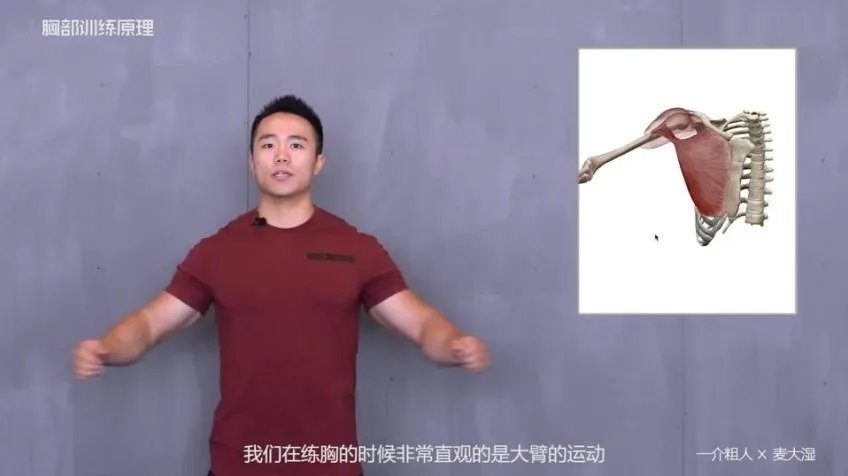 一介粗人x麦大湿：胸部训练从入门到精通课程