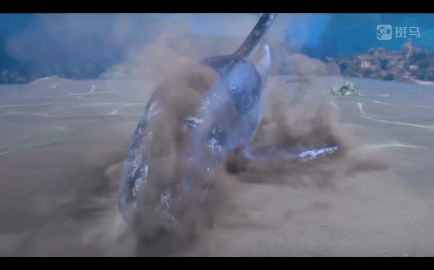 斑马百科：哺乳动物全解析——从特征到行为