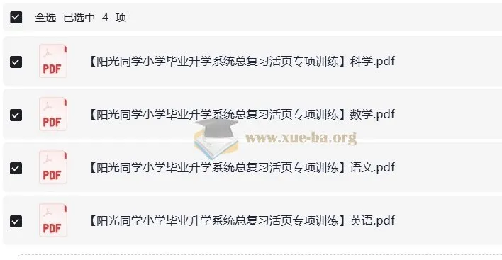 阳光同学小学毕业升学系统 小升初总复习活页专项训练