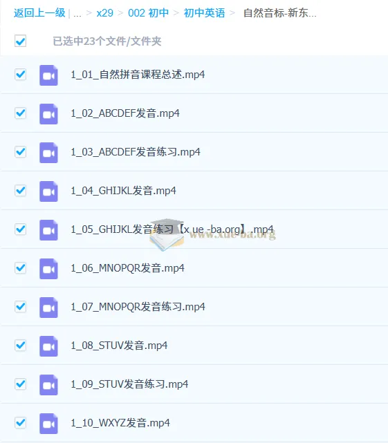 新东方小学英语自然音标拼读VIP通关班