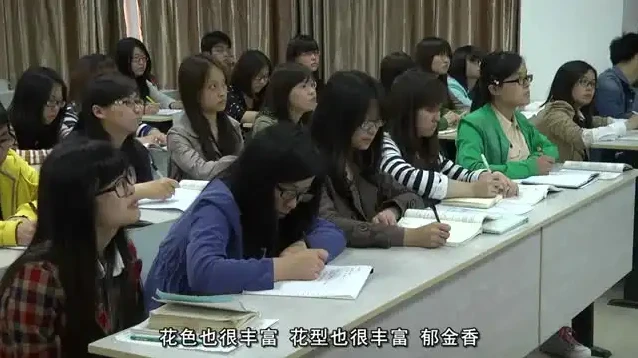 花艺插花教程：从入门到精通