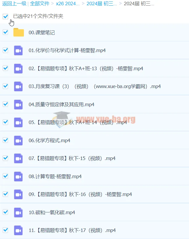 2024初三中考化学杨雯智A+秋季班（下）
