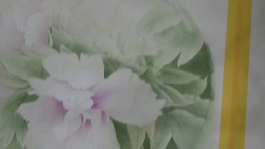 龚雪青工笔牡丹《牡丹小晴》3讲课程全集
