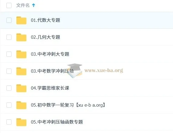 状元数学刘校长初中数学基础与拔高课程合集