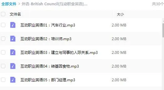 有声书《British Council 互动职业英语》全30集 - Joyce