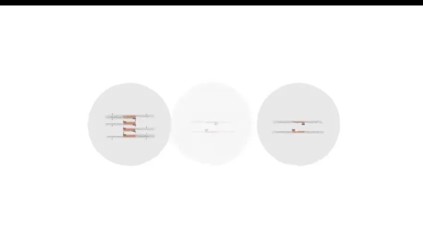 高二生物必修课：陈旭晨精讲基因工程与发酵技术