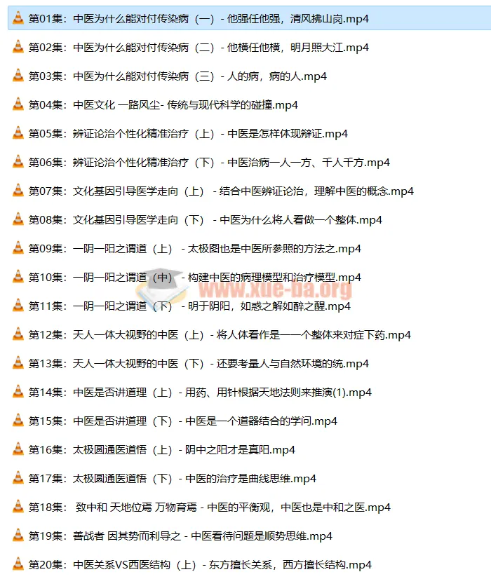 潘毅《闻道中医—推天檤以明医事》35集课程