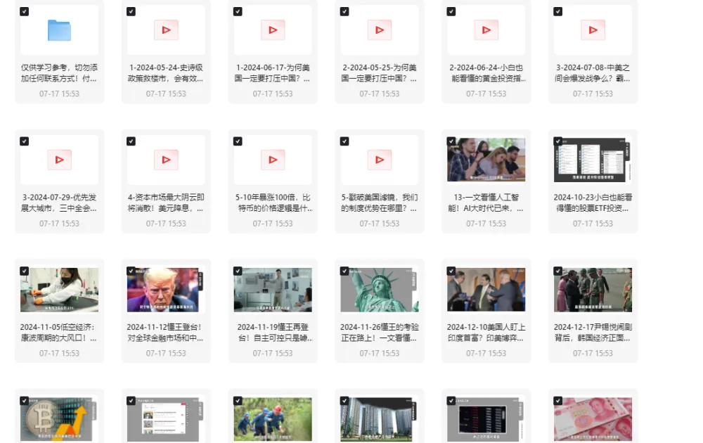 柏林说：世界形势大观 2025 视频合集