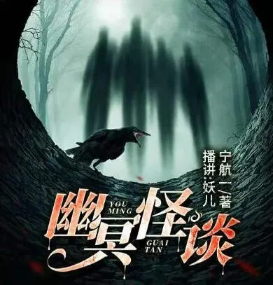 有声小说《幽冥怪谈之夜话》18集 - 宁航一作品