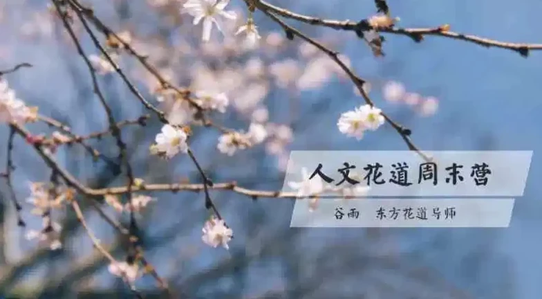 人文花道美学营：领略东方花道之美