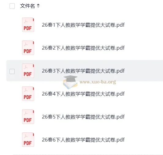 小学数学《学霸提优大试卷》1 - 6 年级下册（人教版）