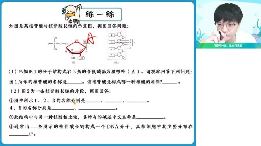 高一生物暑假班:邓康尧名师精讲+题型精练