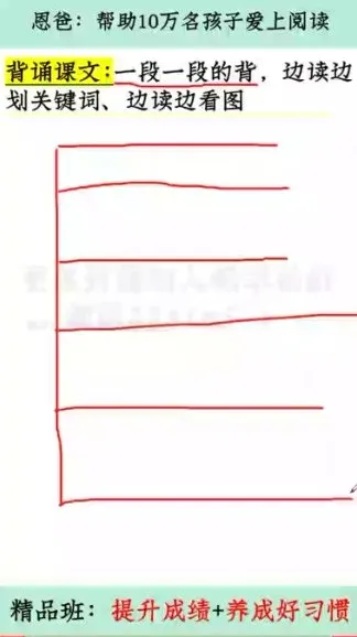 恩爸学习力六步法：小学生寒假逆袭学习方案