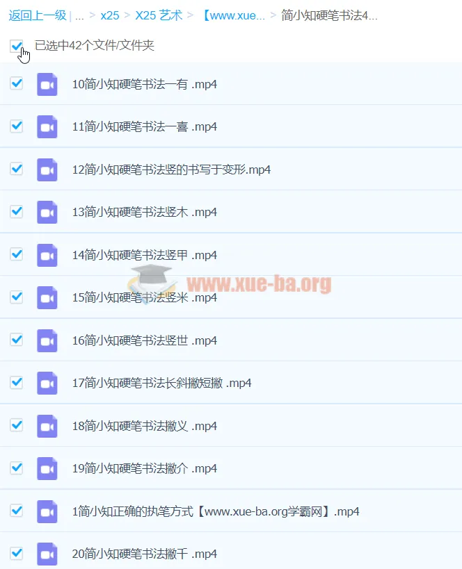 简小知硬笔书法40节课程