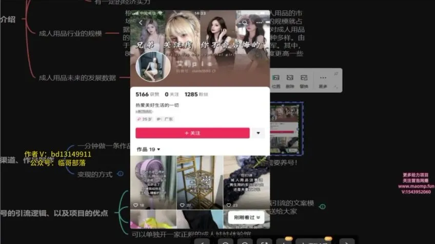 成人用品电商创业指南：新手开启月入数万秘籍