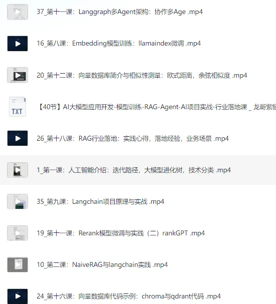 AI大模型应用开发与模型训练：RAG - Agent AI项目实战行业落地课