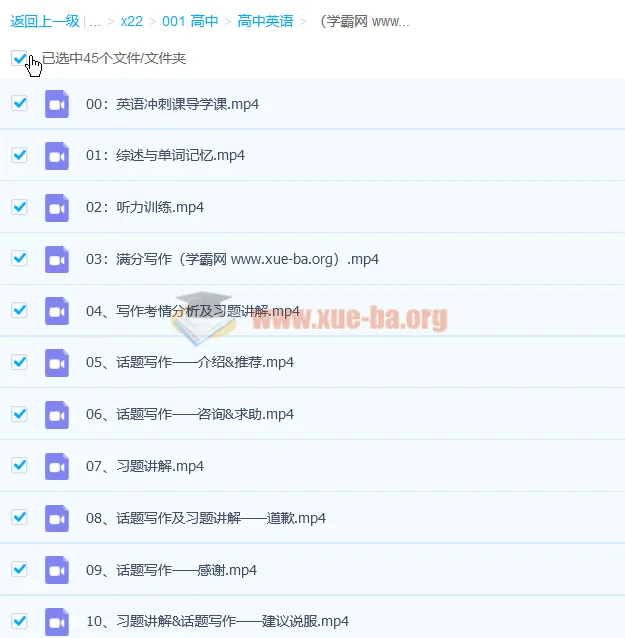 树成林雨君老师高考英语冲刺课程