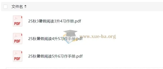 2025年3 - 6年级小学语文《一本暑假习作手册》
