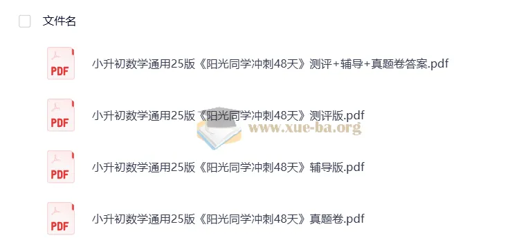 2025版小升初《阳光同学冲刺48天》小学数学
