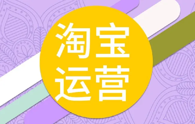 照顾酱电商人修炼手册：从0到1掌握淘宝运营底层逻辑