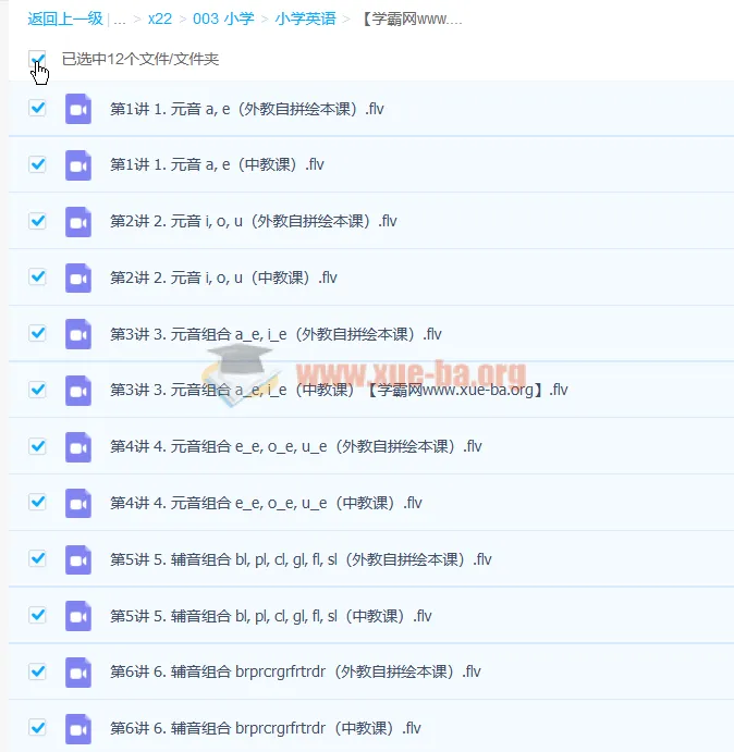 韩淑娇自然拼读1级直播班6讲课程