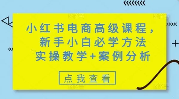 小红书零基础电商高级实操课：含案例分析
