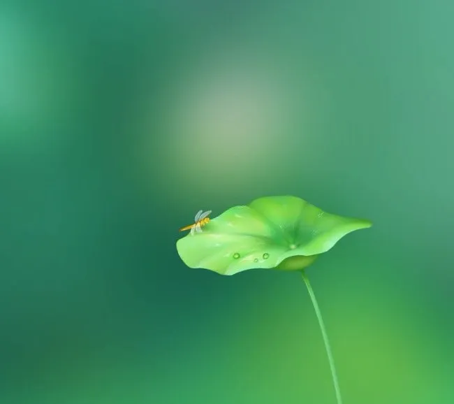 历史存在本体论精讲：6节视频与音频课程