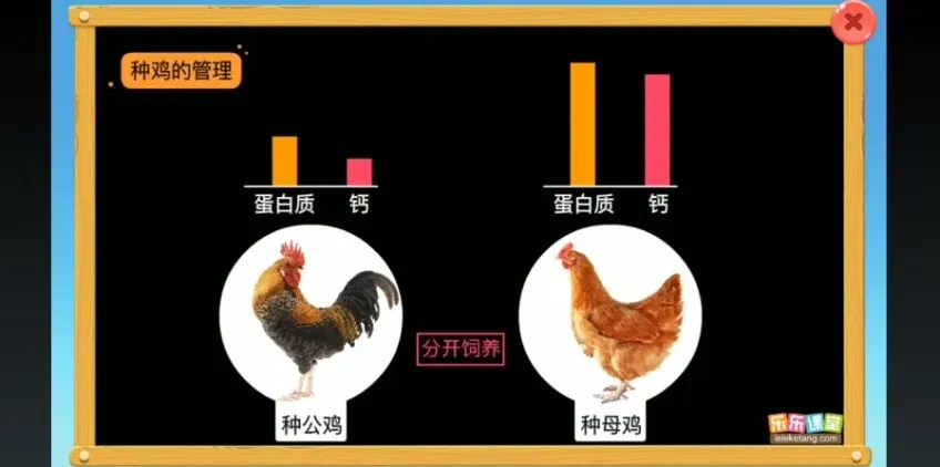 乐乐课堂生物动画大百科：6 - 15岁孩子趣味生物学习指南