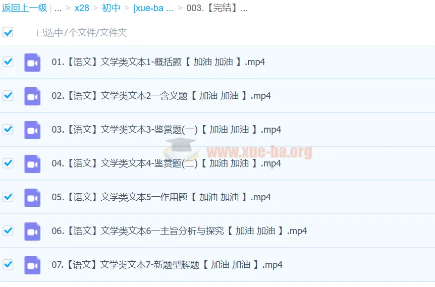 2024中考语文文学类文本一本通