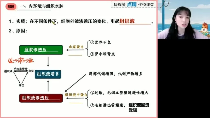 2024高三生物押题班：段瑞莹带你点睛冲刺高考