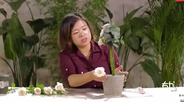 20节插花视频教程：解锁花艺技巧与生活美学