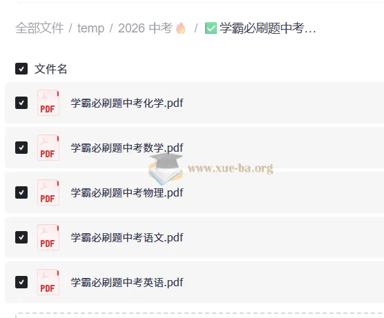 中考学霸必刷题