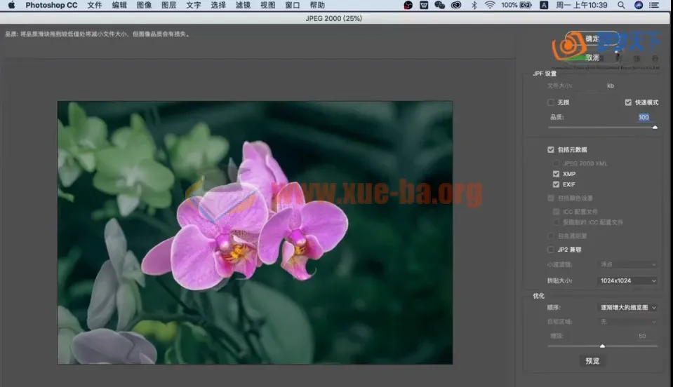 兰花摄影与后期技法课程 主讲：朱建华老师