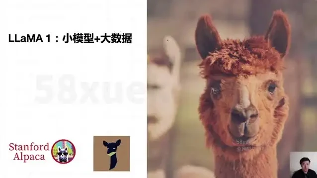 《AI大模型微调实战:8周掌握前沿技术,深度应用开发指南》