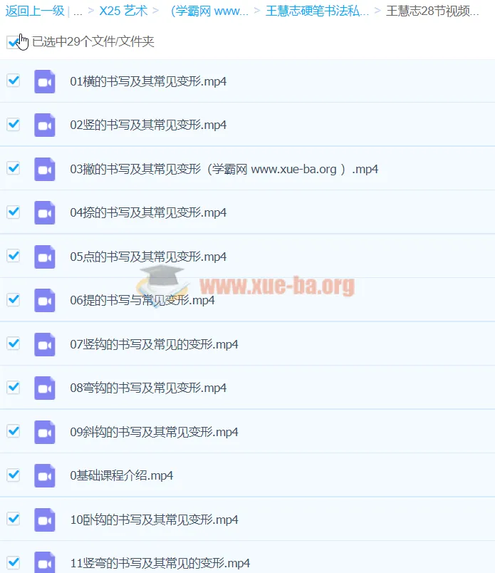 王慧志硬笔书法私房课程100节