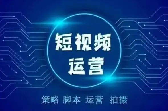 0基础短视频运营课程:玩赚自媒体,快速吸粉变现