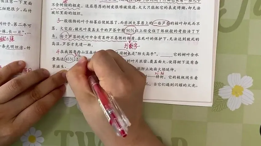 四年级阅读理解61篇精讲：全面掌握写景、叙事、神话阅读