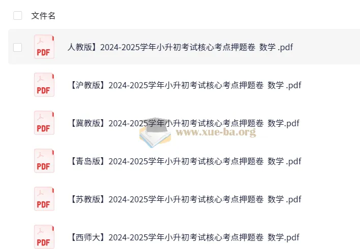 2024 - 2025学年小升初考试核心考点押题卷