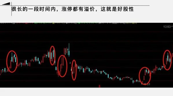 大柚子笔记：2024年4月盘面深度专属解读