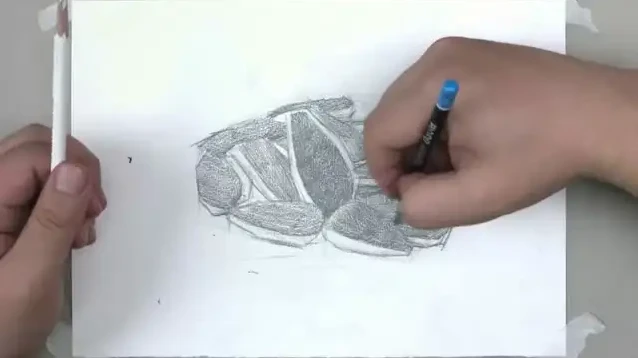 素描速成秘诀：从零到精通系统教学课程