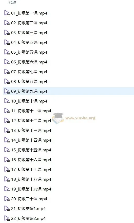 中央音乐学院初级音基考试视频课程