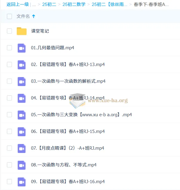 2024 - 2025初二数学徐丝雨A+课程（暑假、秋季、寒假、春季班）