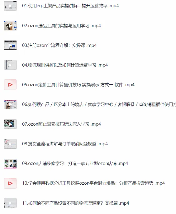 掌握Ozon跨境电商系列全套学习课