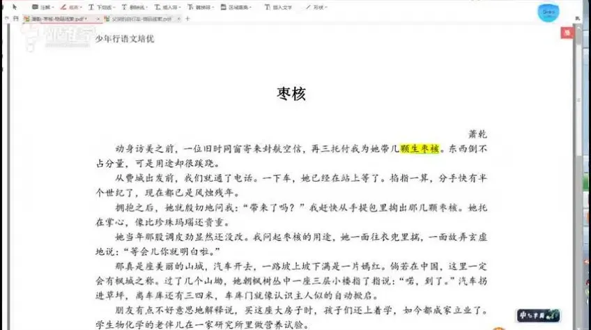 平哥小学语文4 - 6年级阅读理解与写作技法全攻略