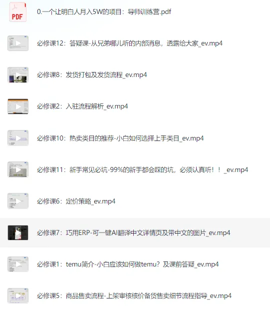 海外版拼多多Temu从零到一实践课：入驻到运营最全教程