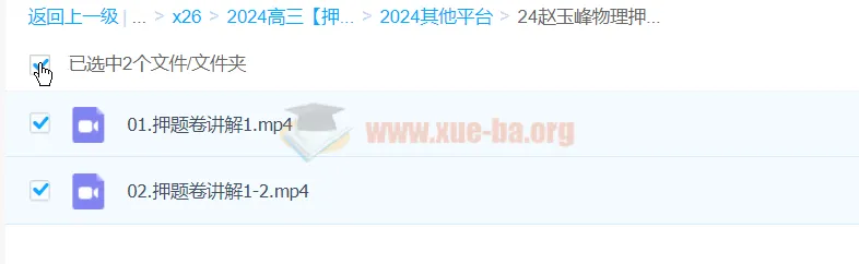 赵玉峰2024高三高考物理押题课