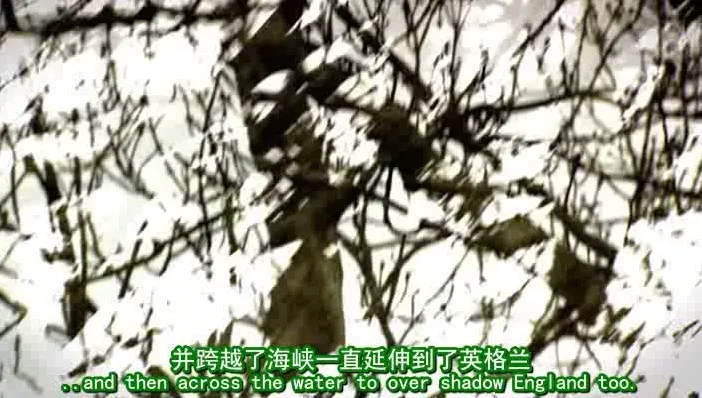 BBC《中世纪生活》《罗马帝国：鲜血的统治》《诺曼人》三部历史纪录片合集
