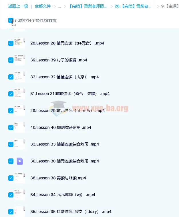雪梨老师英语精品课三合一课程