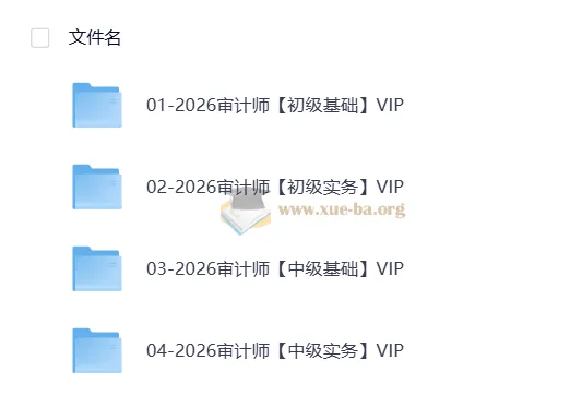 2026初中级审计课程资料