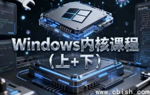 Windows内核课程（上下册）：含源码与课件的深度教学
